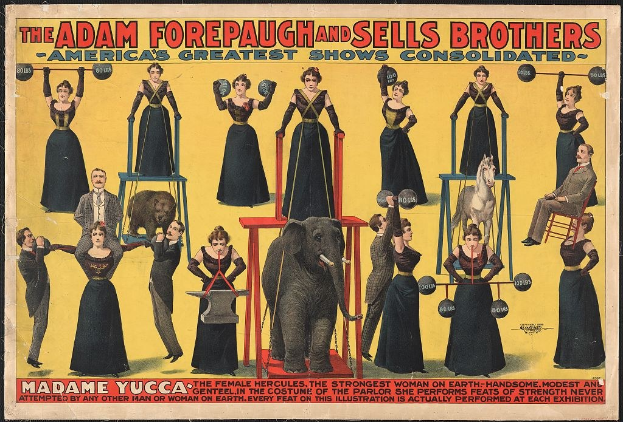 Plakat für die konsolidierte Zirkusshow von Adam Forepaugh und Sells Brothers mit Performern auf Hockern und einem zentralen Elefanten.