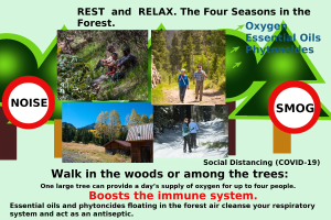 Plakat mit der Aufschrift "Ruhe und Entspannung die Vier Jahreszeiten im Wald" mit Bildern von Menschen, die durch einen bewaldeten Bereich mit Bäumen und einem Haus gehen.