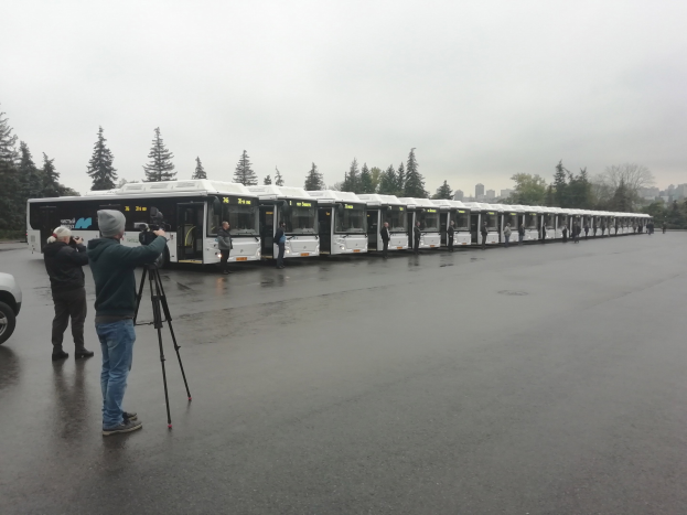 Eine Gruppe von Menschen, die Fotos von einer Reihe von Bussen auf einer Straße mit Bäumen, Gebäuden und einem klaren Himmel im Hintergrund machen