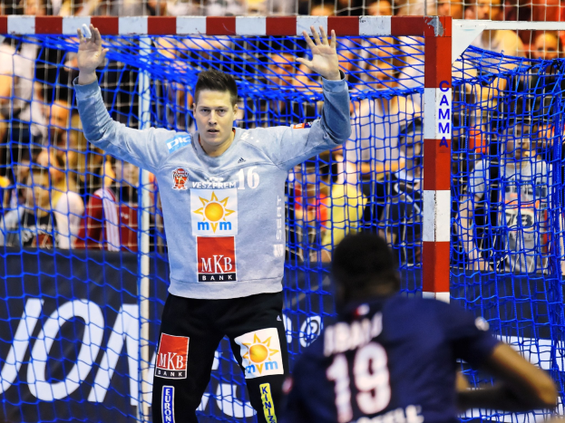 Handballspieler mit erhobenen Händen vor einem Tor bei der Futsal-Weltmeisterschaft 2019, umgeben von Zuschauern und einem sichtbaren Netz.