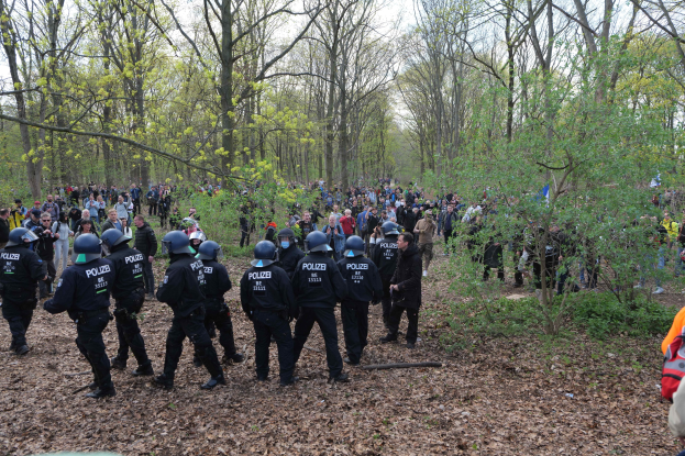 Gruppe von Polizisten in Helmen, die in einem bewaldeten Gebiet mit Bäumen, Pflanzen, trockenen Blättern und sichtbarem Himmel im Hintergrund stehen.
