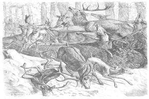 Eine Schwarz-Weiß-Zeichnung einer Hirschherde im Wald, mit einem Netz im Vordergrund und Bäumen im Hintergrund, und einem Text unten, der 'Hirschjagd' lautet.