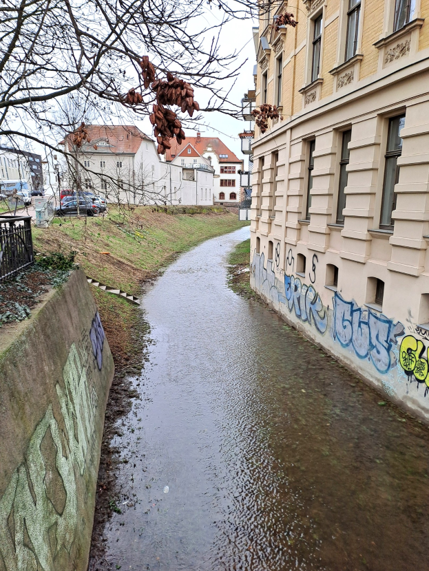 Kleiner städtischer Bach mit Geländer, Graffiti an einem Gebäude, Stadtgebäuden, Bäumen, Fahrzeugen und Himmel im Hintergrund.