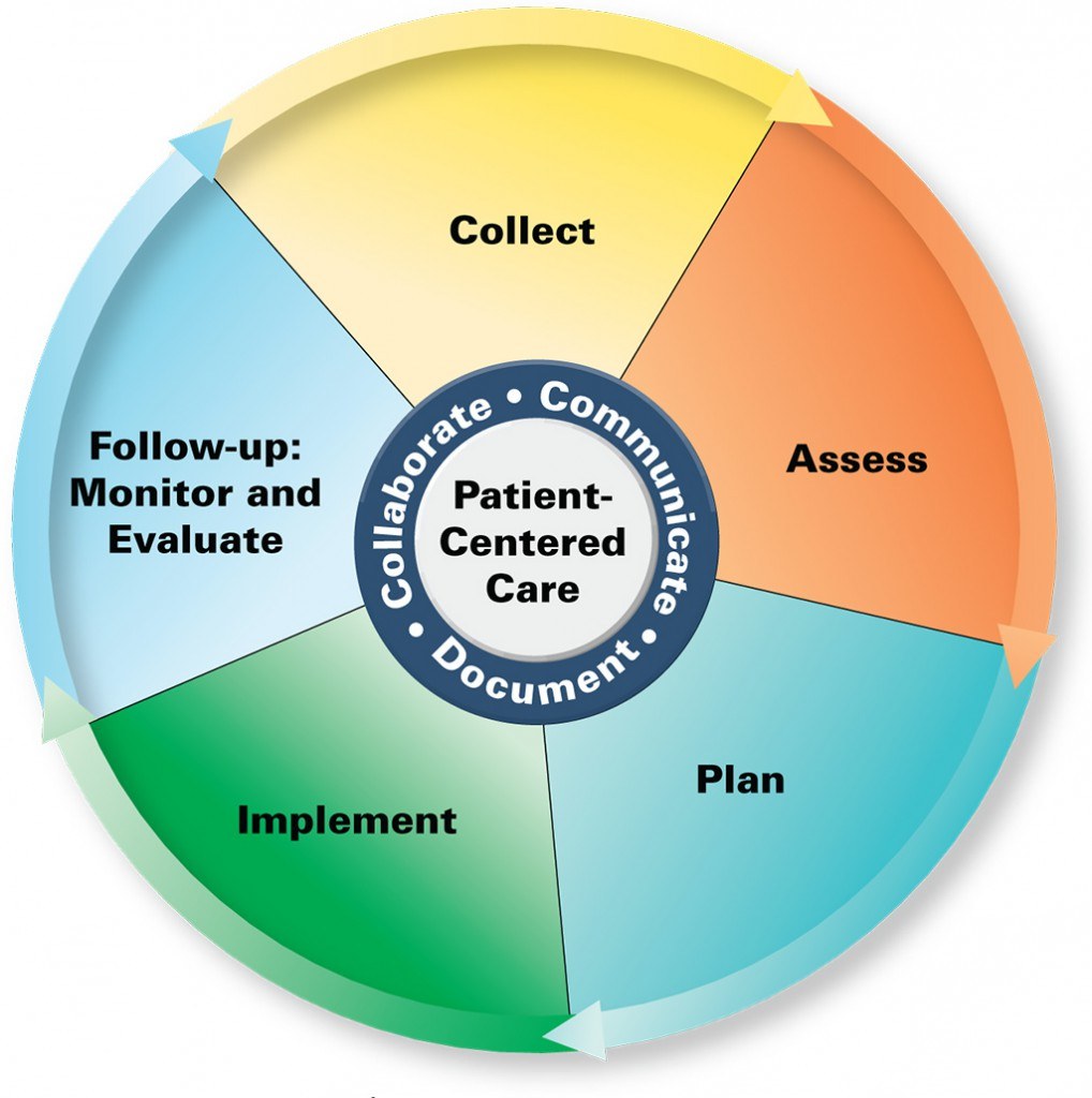 Kreisförmiges Diagramm mit der Überschrift "patientenorientierte Pflege" und vier farbigen Abschnitten, jeweils mit einer spezifischen Pflegeart beschriftet.