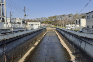 Kleiner Kanal mit Gebäuden, Strommasten mit Drähten und Fahrzeugen auf der Straße, umgeben von Bäumen und einem klaren blauen Himmel.