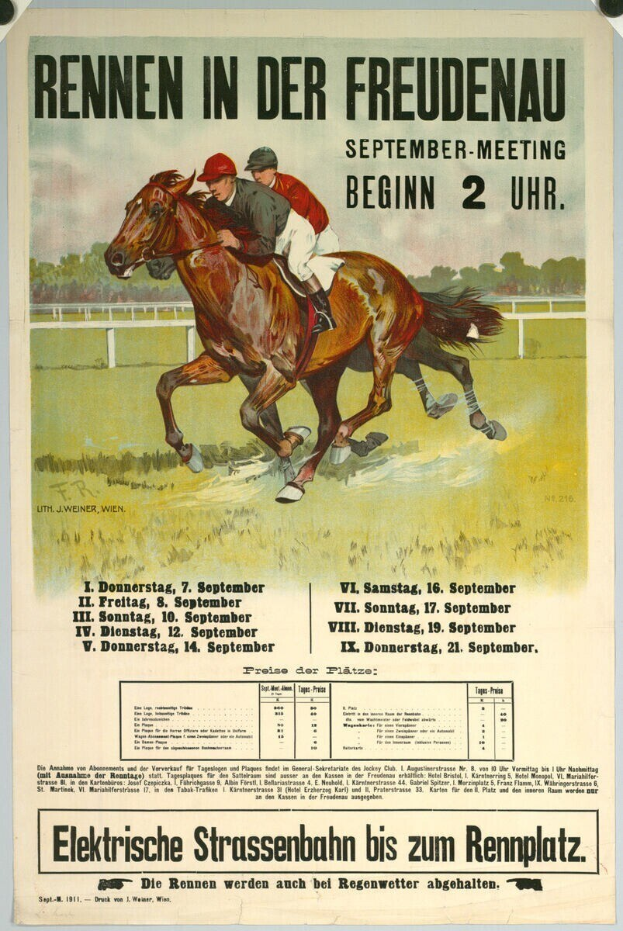 Sieben gut besuchte Rennen und zwei Mini-Trotter-Rennen
Spannende Sportarten auf der Oval