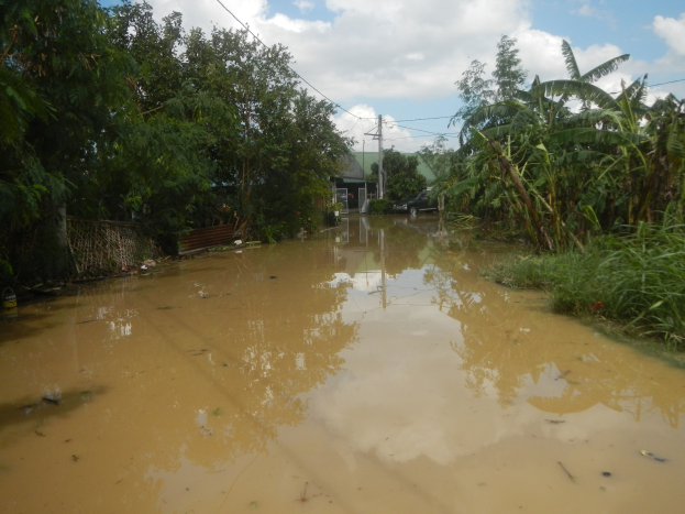 Eine überflutete ländliche Straße mit Wasser, das die Straße, Pflanzen und Bäume auf beiden Seiten bedeckt, und einem rechts geparkten Auto, mit beschädigten Häusern, Strommasten und Drähten im Hintergrund unter einem bewölkten Himmel.