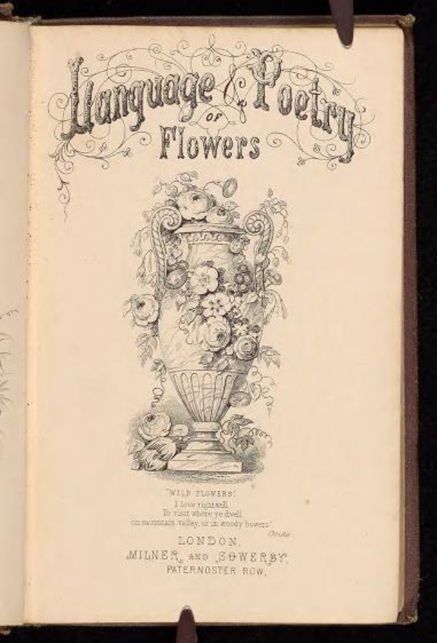 Offenes Buch mit dem Titel "Sprache und Poesie der Blumen" (1867) von Milner und Sowerby, das eine Vase-Illustration mit Blumen auf einem dunklen Hintergrund zeigt.