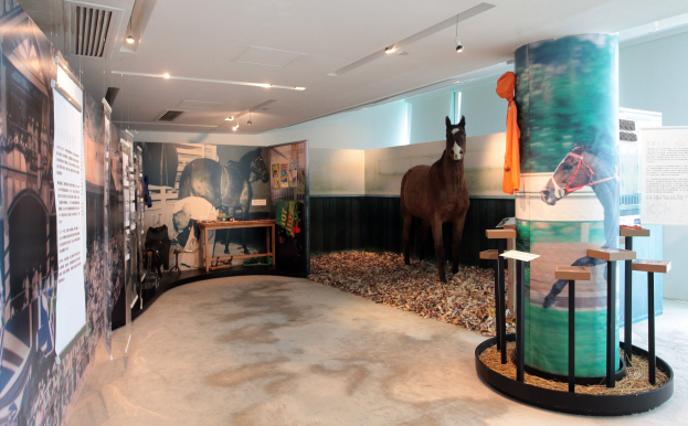 Ein Museumsausstellungsraum mit einem Pferdeexponat, Plakaten an den Wänden, einem Tisch mit Gegenständen und Deckenleuchten, wobei der Boden unten sichtbar ist.