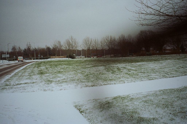 Schneebedeckte Straße mit Nebel, Fahrzeuge in Bewegung und Bäume am Straßenrand.