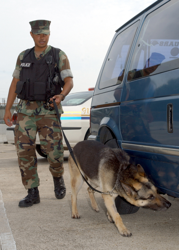 Ein Polizist in Uniform steht auf einer Straße und hält einen angeleinten Hund, mit einem Van und anderen Fahrzeugen, einem Zaun und dem Himmel im Hintergrund.