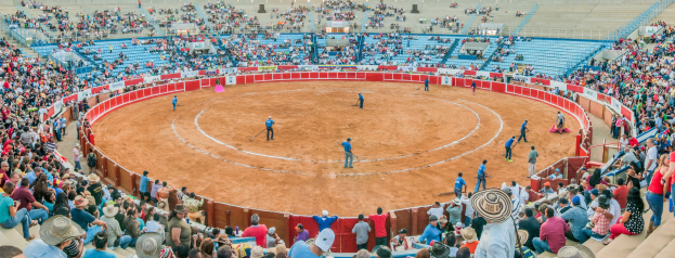 Eine große Menschenmenge schaut einem Stierkampf in einer Arena zu, wobei einige stehen, sitzen oder Gegenstände halten, und eine Person mit Hut unten.