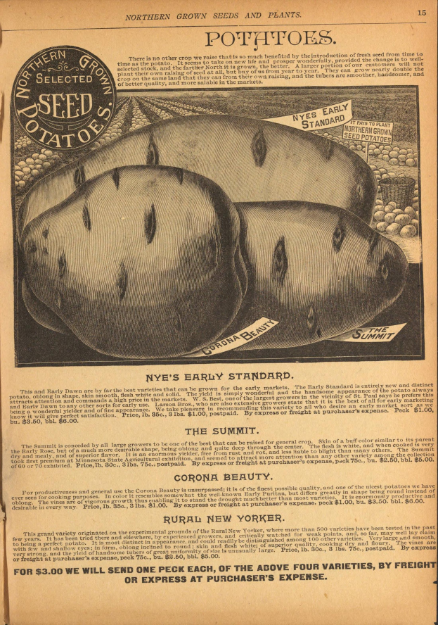 Eine alte Werbung mit einem Kartoffelbild und Text, der eine Kartoffelpflanze und ihre Zutaten beschreibt.