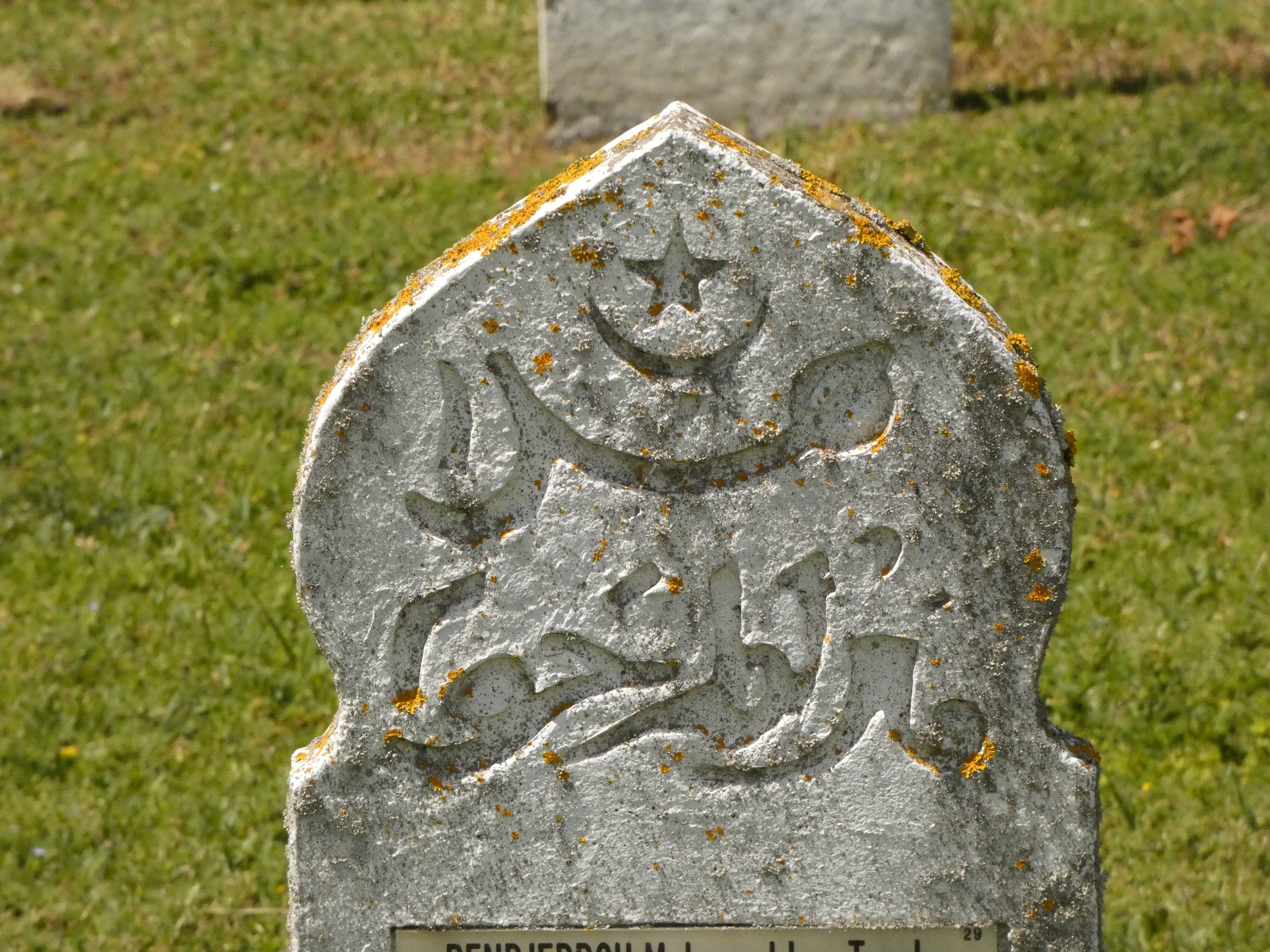 Ein steinernes Grabmal mit arabischer Inschrift, das in einem grasbewachsenen Friedhof steht.